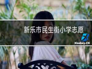 新乐市民生街小学志愿服务队(关于新乐市民生街小学志愿服务队的简介)