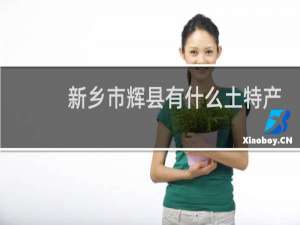 新乡市辉县有什么土特产