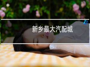 新乡最大汽配城