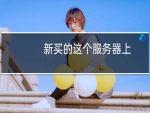 新买的这个服务器上，www.triumpet.com这个网站