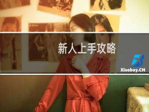 新人上手攻略
