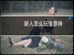 新人怎么玩懂原神