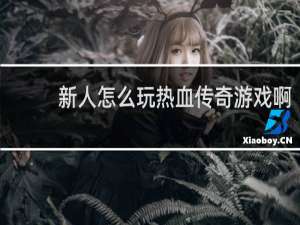 新人怎么玩热血传奇游戏啊