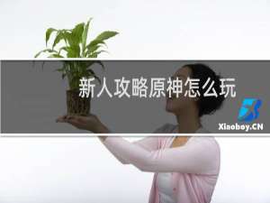 新人攻略原神怎么玩