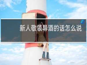 新人敬领导酒的话怎么说
