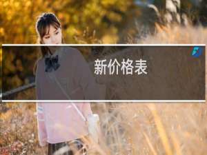 新价格表