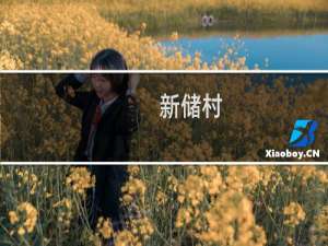新储村(关于新储村的简介)