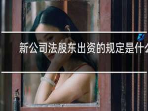 新公司法股东出资的规定是什么