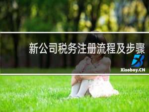 新公司税务注册流程及步骤