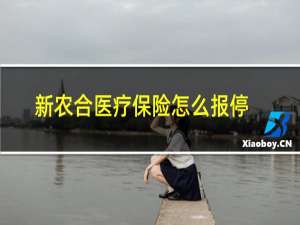 新农合医疗保险怎么报停