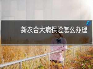 新农合大病保险怎么办理