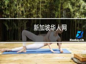 新加坡华人网(关于新加坡华人网的简介)