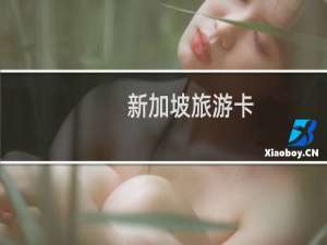 新加坡旅游卡