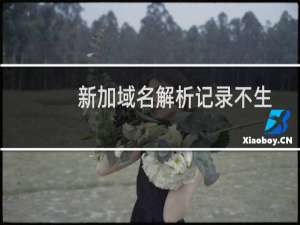 新加域名解析记录不生效-域名及账户问题