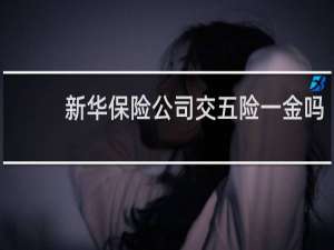 新华保险公司交五险一金吗