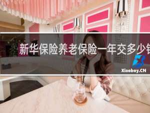 新华保险养老保险一年交多少钱