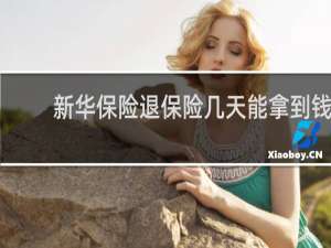 新华保险退保险几天能拿到钱