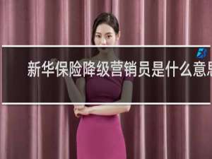 新华保险降级营销员是什么意思