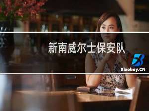 新南威尔士保安队(关于新南威尔士保安队的简介)