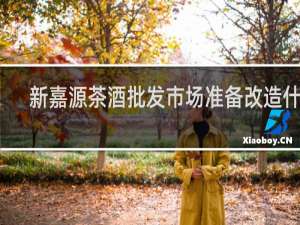 新嘉源茶酒批发市场准备改造什么