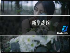 新型战略(关于新型战略的简介)
