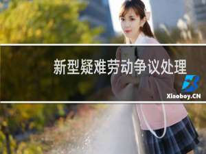 新型疑难劳动争议处理实务与诉讼指引(关于新型疑难劳动争议处理实务与诉讼指引的简介)