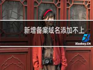 新增备案域名添加不上-备案平台