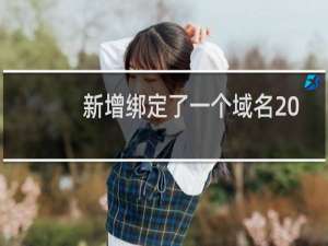 新增绑定了一个域名 网站无法访问