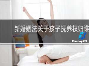 新婚姻法关于孩子抚养权归谁