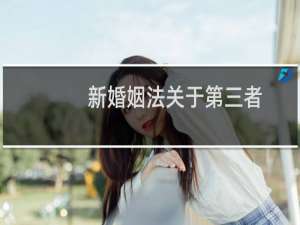 新婚姻法关于第三者
