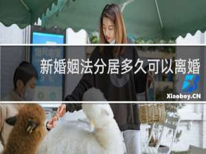 新婚姻法分居多久可以离婚