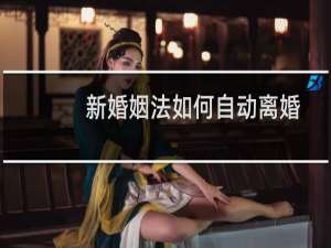 新婚姻法如何自动离婚