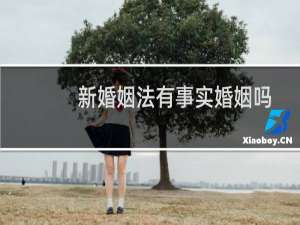 新婚姻法有事实婚姻吗