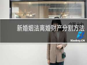 新婚姻法离婚财产分割方法