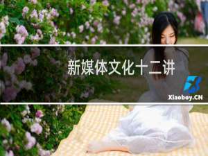 新媒体文化十二讲(关于新媒体文化十二讲的简介)