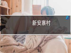 新安寨村(关于新安寨村的简介)