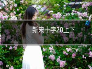 新宋十字 上下(关于新宋十字 上下的简介)