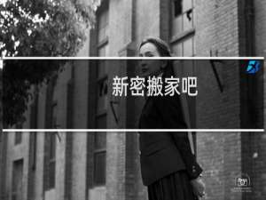 新密搬家吧