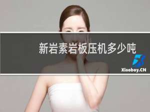 新岩素岩板压机多少吨