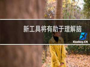 新工具将有助于理解脑信号