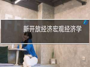新开放经济宏观经济学理论研究(关于新开放经济宏观经济学理论研究的简介)