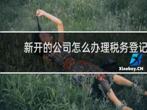 新开的公司怎么办理税务登记