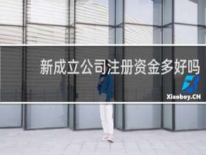 新成立公司注册资金多好吗