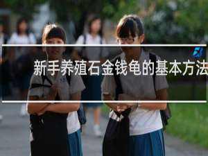 新手养殖石金钱龟的基本方法