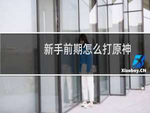 新手前期怎么打原神