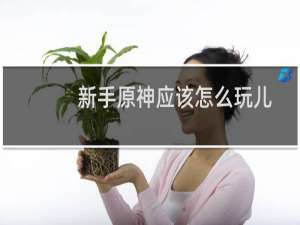 新手原神应该怎么玩儿