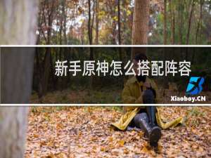 新手原神怎么搭配阵容