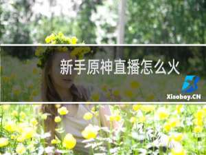 新手原神直播怎么火