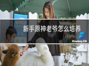 新手原神老爷怎么培养