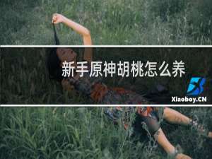 新手原神胡桃怎么养